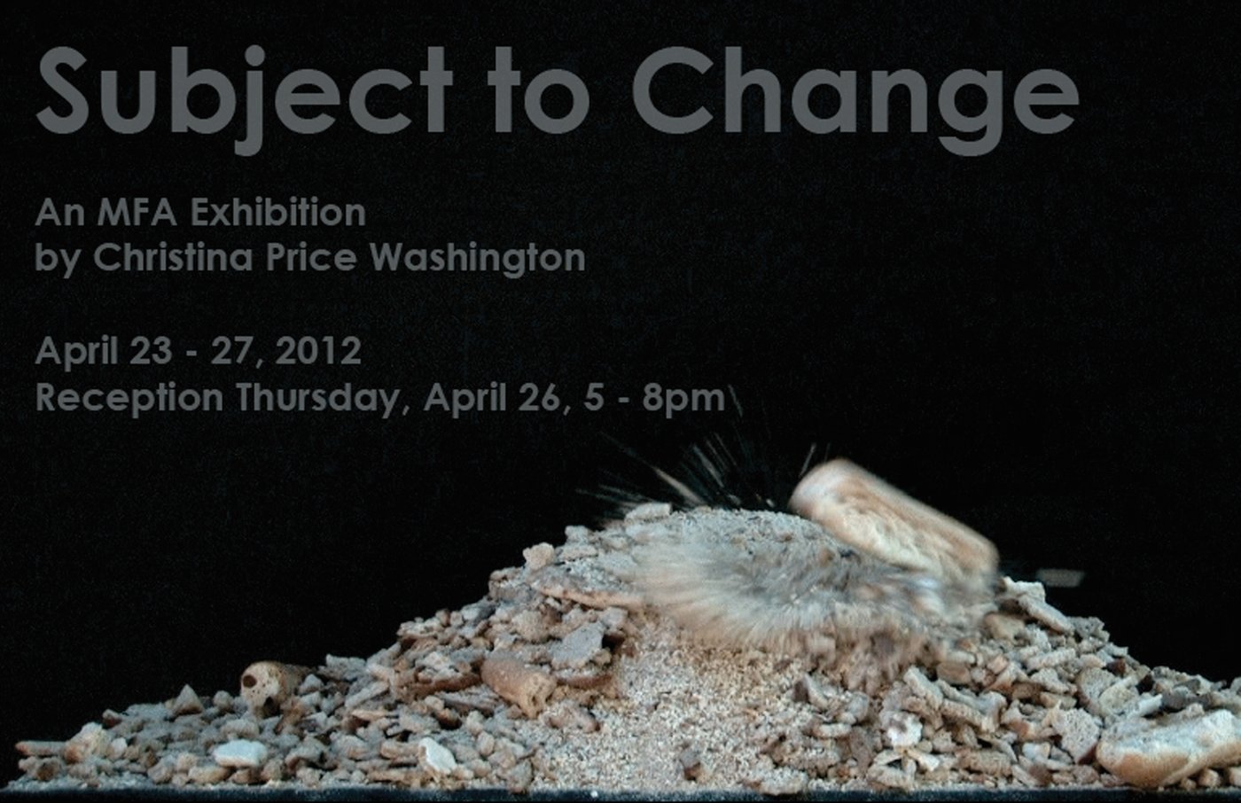 Subject to Change Installation View