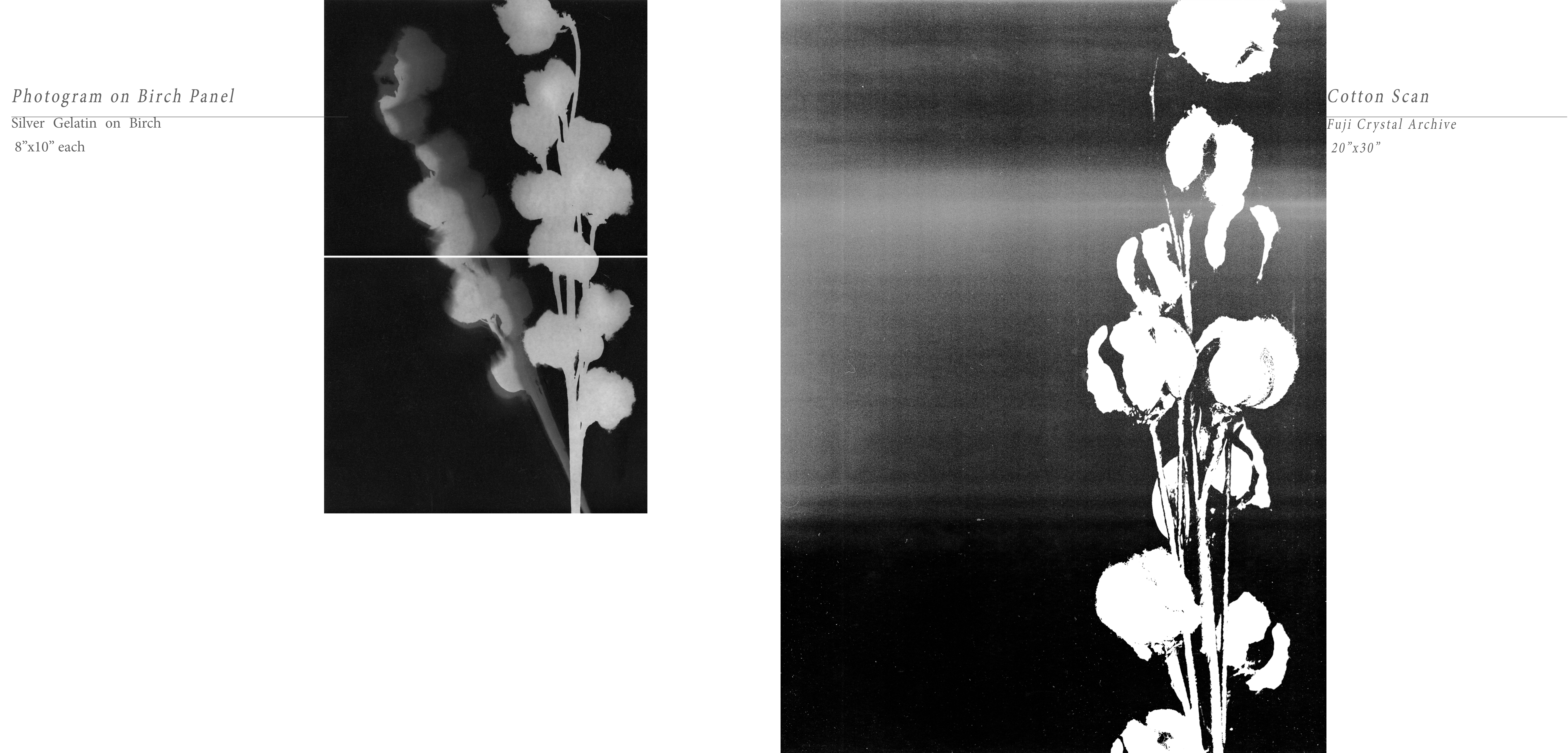 White Balance — WB 10
