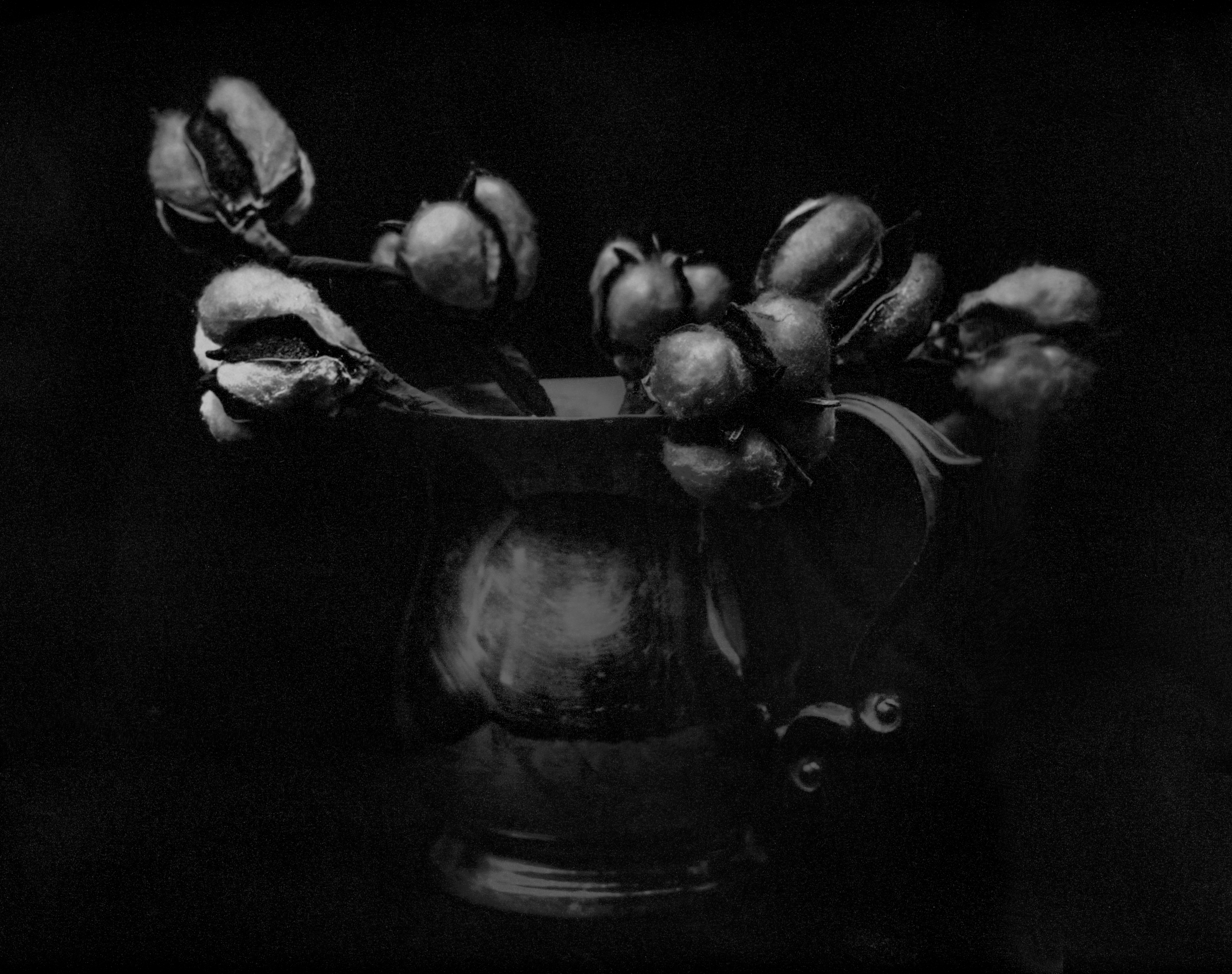 White Balance — Cotton and Silver